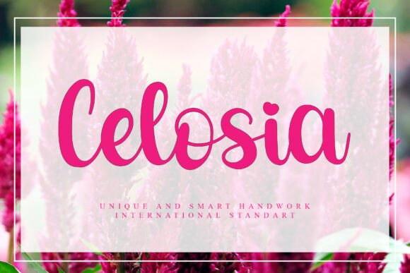 Celosia: The Professional Handwritten Font for Modern Creators